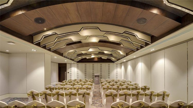 Novotel Kochi Infopark Meeting
