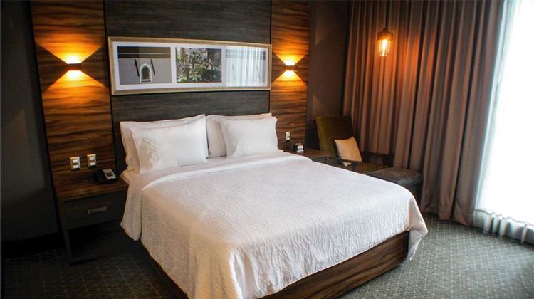 Hilton Garden Inn Aguascalientes Room