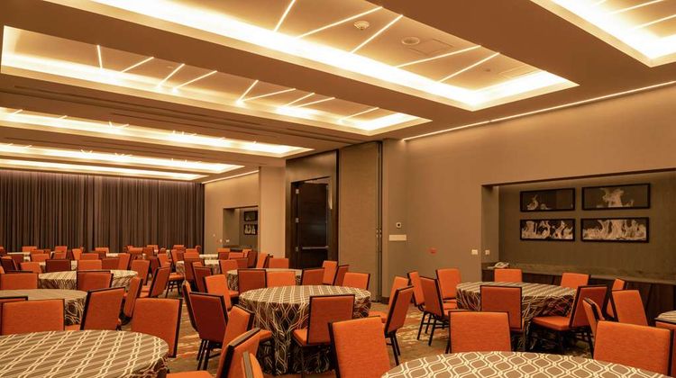 Hilton Garden Inn Chihuahua Meeting