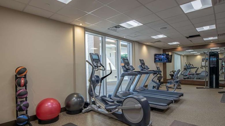 <b>Hilton Garden Inn Dallas at Hurst Conf Health</b>. Images powered by <a href="https://iceportal.shijigroup.com/" title="IcePortal" target="_blank">IcePortal</a>.