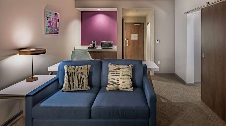 Hilton Garden Inn Dallas at Hurst Conf Other