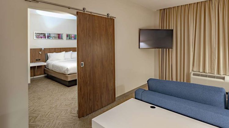 Hilton Garden Inn Dallas at Hurst Conf Other