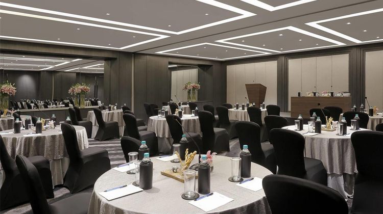 Novotel Chennai Chamiers Road Meeting