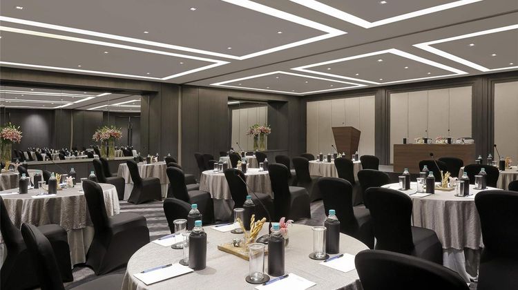 Novotel Chennai Chamiers Road Meeting