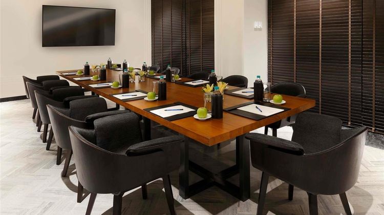 Novotel Chennai Chamiers Road Meeting