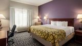 <b>Baymont Inn & Suites Springfield I-44 Room</b>. Images powered by <a href="https://iceportal.shijigroup.com/" title="IcePortal" target="_blank">IcePortal</a>.