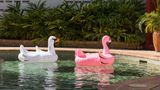 Rydges Southbank Townsville Pool