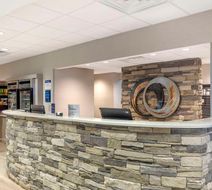 Best Western Plus I-385 Inn & Suites Lobby