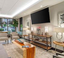 Best Western Plus I-385 Inn & Suites Lobby