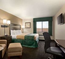 Baymont Inn & Suites Glendive Room