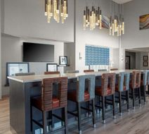 Hampton Inn & Suites Chicago-Burr Ridge Lobby