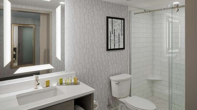 <b>The Kingsley Bloomfield Hills - a DoubleTree Room</b>. Images powered by <a href="https://iceportal.shijigroup.com/" title="IcePortal" target="_blank">IcePortal</a>.