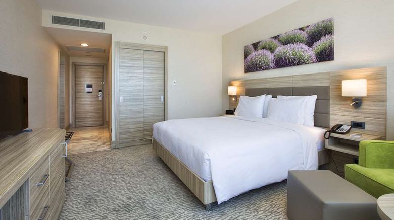 <b>Hilton Garden Inn Isparta Other</b>. Images powered by <a href="https://iceportal.shijigroup.com/" title="IcePortal" target="_blank">IcePortal</a>.