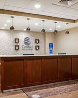 Comfort Inn & Suites At Copeland Tower