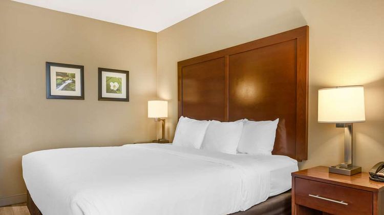 Comfort Inn & Suites Birmingham Suite