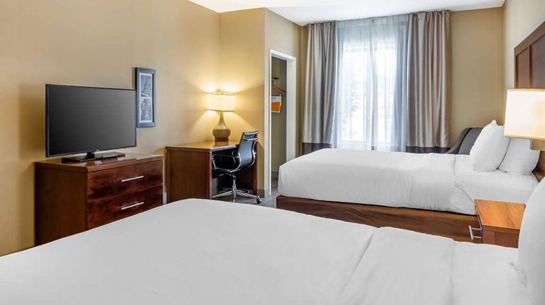 <b>Comfort Inn & Suites Birmingham Room</b>. Images powered by <a href="https://iceportal.shijigroup.com/" title="IcePortal" target="_blank">IcePortal</a>.