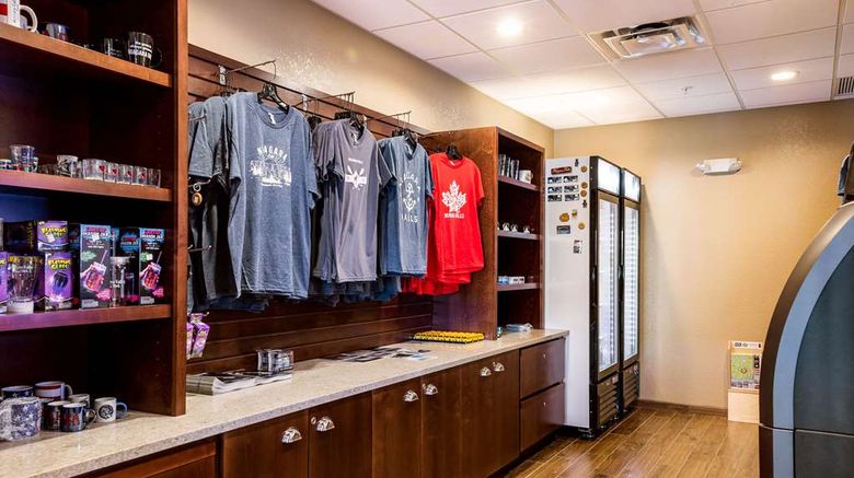 <b>Comfort Inn & Suites Niagara Falls Other</b>. Images powered by <a href="https://iceportal.shijigroup.com/" title="IcePortal" target="_blank">IcePortal</a>.