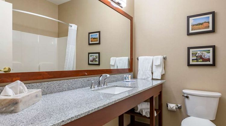 Comfort Inn & Suites Northern Kentucky Room