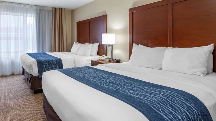 Comfort Inn & Suites Northern Kentucky Suite