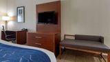 Comfort Suites Gainesville Suite