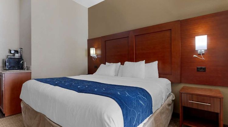 Comfort Suites Gainesville Suite