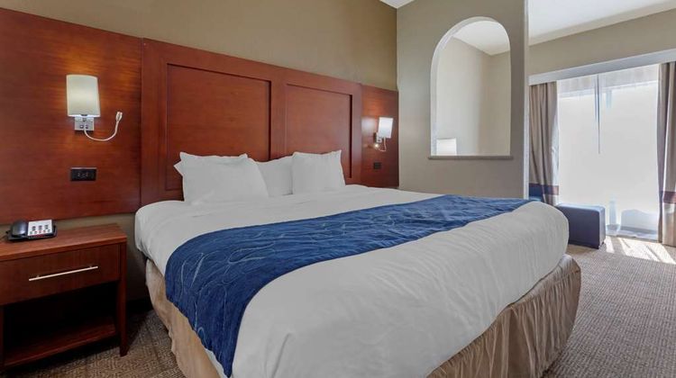 Comfort Suites Gainesville Suite