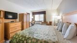 Econo Lodge Quakertown Room