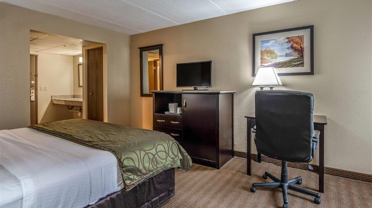 Quality Inn Tully Inn Room