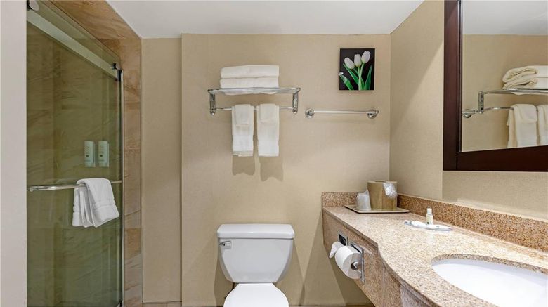 <b>Quality Inn & Suites Brampton Room</b>. Images powered by <a href="https://iceportal.shijigroup.com/" title="IcePortal" target="_blank">IcePortal</a>.