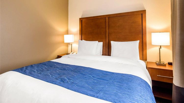 Comfort Inn/Stes IAH Bush Airport-East Room