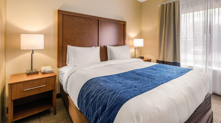 Comfort Inn/Stes IAH Bush Airport-East Room
