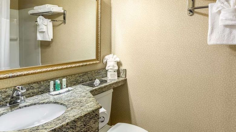 <b>Quality Inn East Stroudsburg Poconos Room</b>. Images powered by <a href="https://iceportal.shijigroup.com/" title="IcePortal" target="_blank">IcePortal</a>.