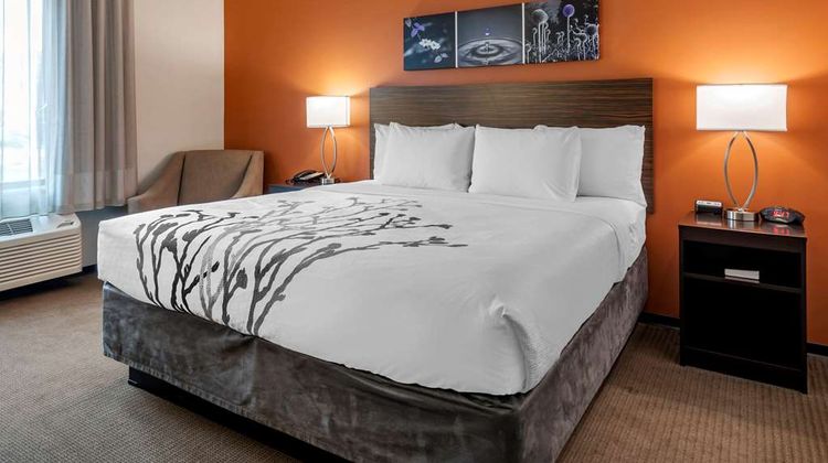 Sleep Inn & Suites Moab Suite