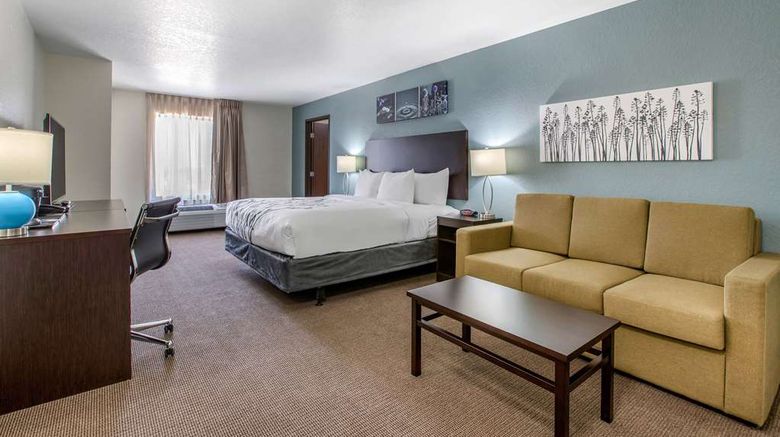 <b>Sleep Inn & Suites Ankeny Suite</b>. Images powered by <a href="https://iceportal.shijigroup.com/" title="IcePortal" target="_blank">IcePortal</a>.