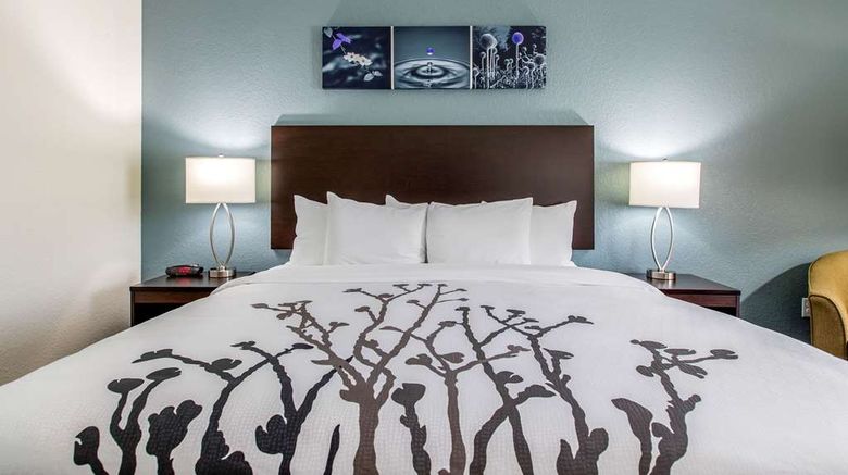 <b>Sleep Inn & Suites Ankeny Room</b>. Images powered by <a href="https://iceportal.shijigroup.com/" title="IcePortal" target="_blank">IcePortal</a>.