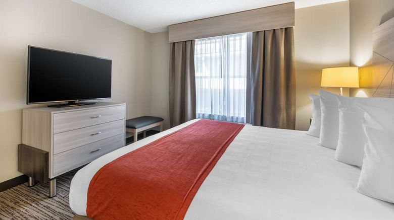 <b>Best Western Plus Lake City Room</b>. Images powered by <a href="https://iceportal.shijigroup.com/" title="IcePortal" target="_blank">IcePortal</a>.