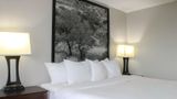Super 8 Williston Room