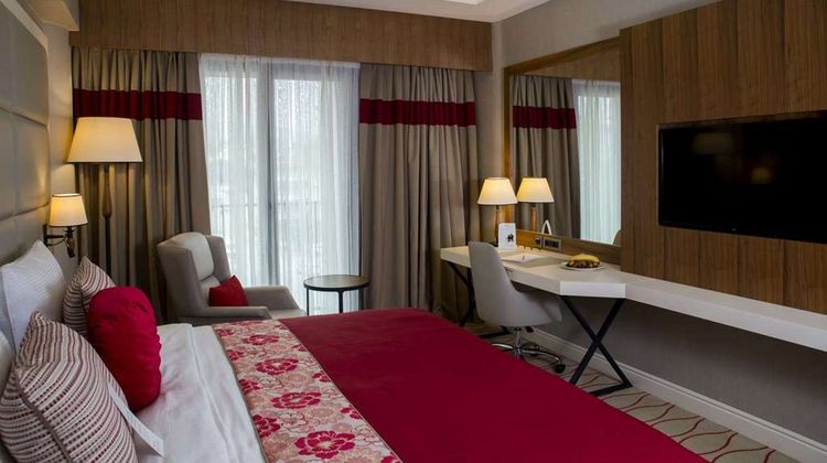 Ramada Sakarya Hendek Room