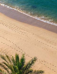 SANA Sesimbra Hotel