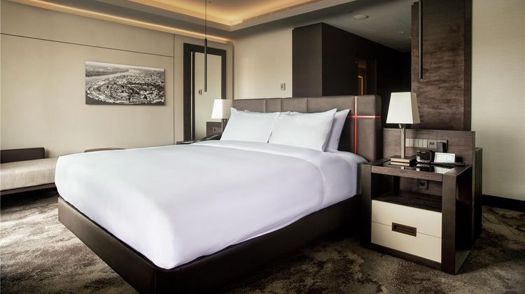 Hilton Belgrade Other