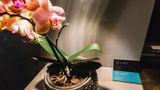 <b>Noble Boutique Hotel Lobby</b>. Images powered by <a href="https://iceportal.shijigroup.com/" title="IcePortal" target="_blank">IcePortal</a>.
