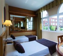 Hotel Jardin de Tres Cantos Room