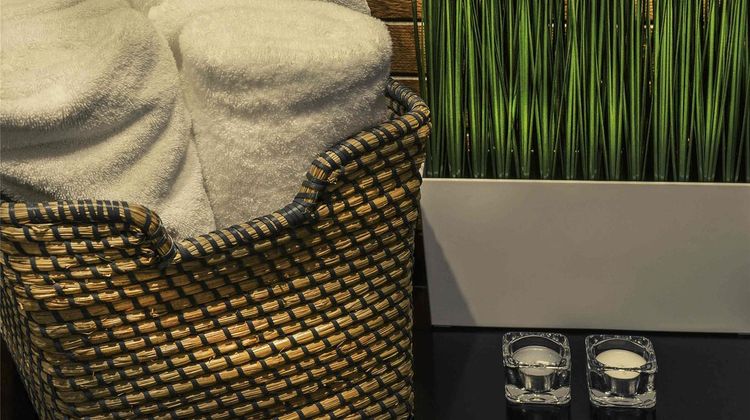 Hotel Mercure Nantes Saint Herblain Spa