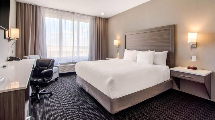 Comfort Inn & Suites North Battleford Room