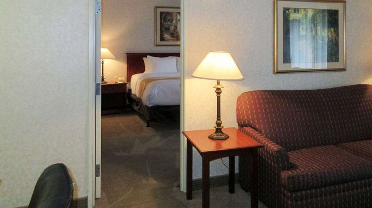 Quality Inn & Suites Albuquerque Suite