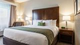 Comfort Inn South Tulsa - Woodland Hills Room