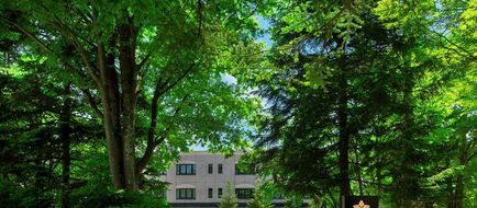 Kyukaruizawa Kikyo, Curio Collection Exterior