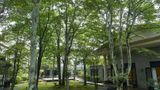 Kyukaruizawa Kikyo, Curio Collection Exterior