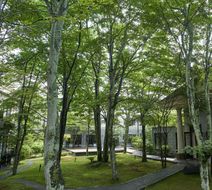 Kyukaruizawa Kikyo, Curio Collection Exterior