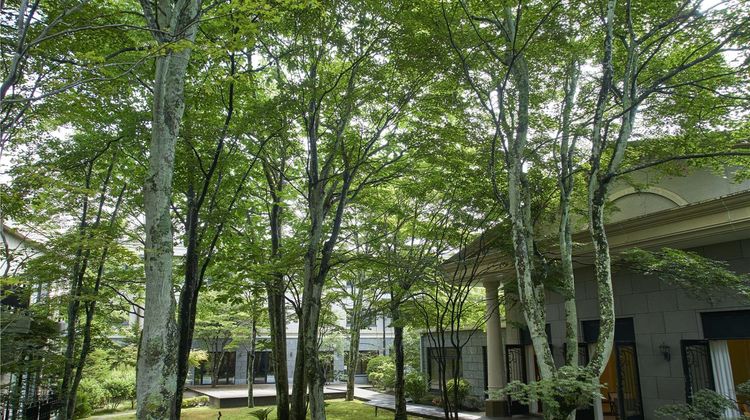 Kyukaruizawa Kikyo, Curio Collection Exterior